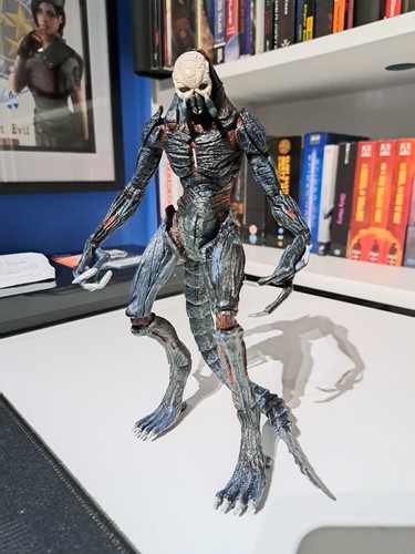 Official neca verdugo resident - official,